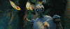 Pedro Pascal Animation GIF by The Wild Robot