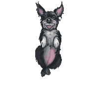 Solidariedade Cheska Sticker by GARRA