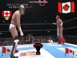 Canadian Wrestling GIF