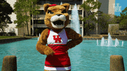 houstoncougars houston sasha gocoogs shasta GIF