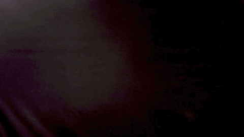 Happy Sport GIF by Seattle Sounders