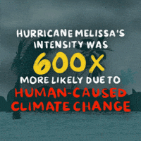 Climate Change Storm GIF by INTO ACTION