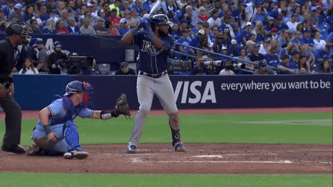 tesstass giphyupload GIF