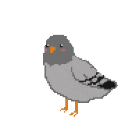 Pigeon Paloma Sticker