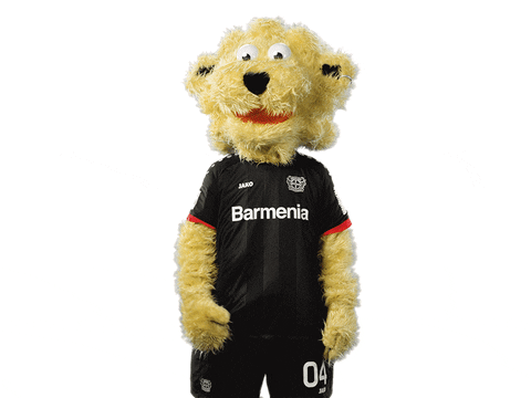 Bayer 04 Yes GIF by Bayer 04 Leverkusen