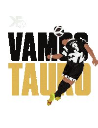 Football Goal Sticker