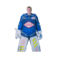 Seidel Sticker by Dresdner Eisloewen