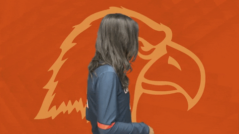 C-N Volleyball GIF by Carson-Newman Athletics