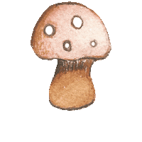 creartraffy autumn mushroom watercolour fungo Sticker