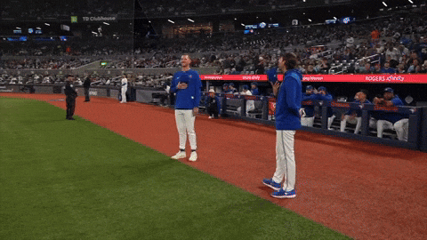 Blue Jays Baseball GIF by Toronto Blue Jays