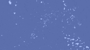 Explore Osiris-Rex GIF by NASA