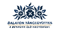 Neptanc Siofok Sticker by balatontancegyuttes