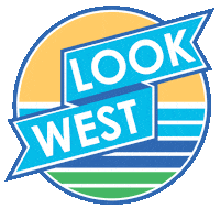 Look Politics Sticker by AssemblyDems