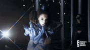 Red Carpet Wireframe GIF by E!