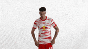 Come On Applause GIF by RB Leipzig