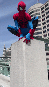 Spiderman Spidey GIF