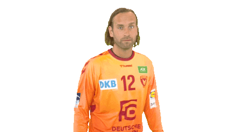 Hallo Handball-Bundesliga Sticker by LIQUI MOLY HBL