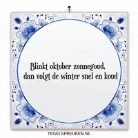 Winter Nl GIF by Tegelspreuken.nl