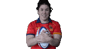 FERugby rugby fer bimba pgr Sticker