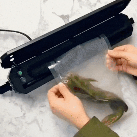 anamacasr giphyupload GIF