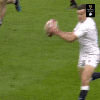 English Sport GIF by Guinness Six Nations