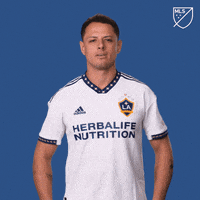 Vamos Lets Go GIF by Major League Soccer