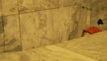 nuclear blast recordings GIF by Sepultura
