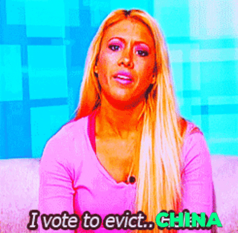 paigesutton giphygifmaker giphyattribution GIF