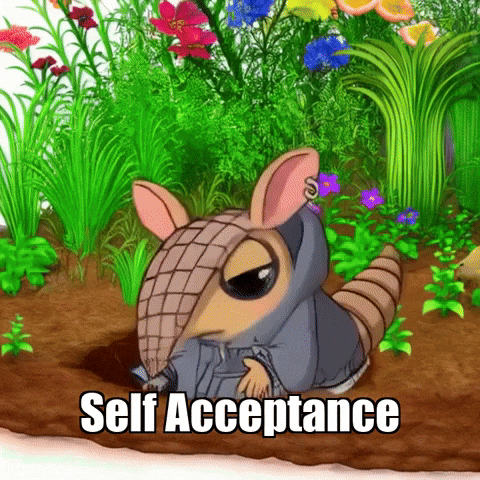 Self Love Acceptance GIF by Chillo Dillo
