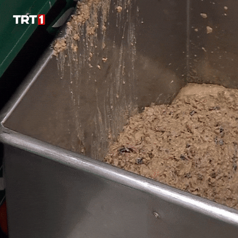 Loading Give GIF by TRT