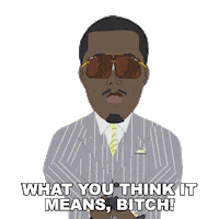 Puff Daddy Diddy Sticker by South Park
