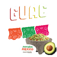 Cinco De Mayo Fun Sticker by Avocados From Mexico