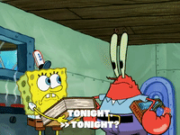 season 6 gullible pants GIF by SpongeBob SquarePants