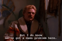 season 2 episode 13 GIF by Twin Peaks on Showtime