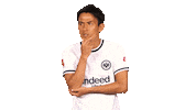 Eintracht Frankfurt Football Sticker by Bundesliga