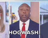 Scott Hogwash GIF by GIPHY News
