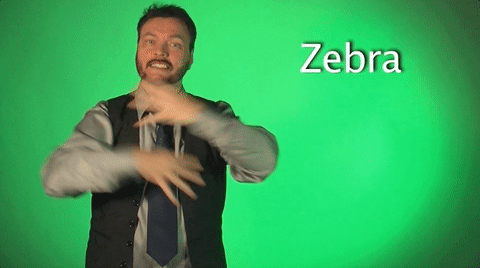 sign language zebra GIF by Sign with Robert