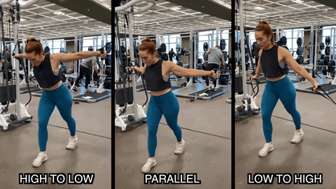 megsquats giphyupload GIF