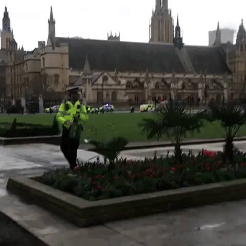 Police Helicopter Lands in Parliament Square Following 'Terrorist Incident'