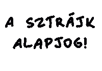 Noar Grund Sticker by noÁr mozgalom