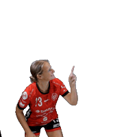 New Post Sticker by Hollenstedt-Handball