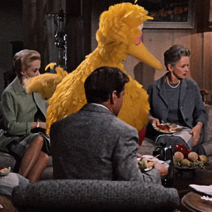 Sesame Street Bird GIF by Bell Brothers