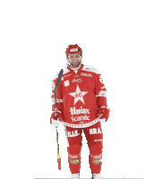 Stjernen Elite Sticker by StjernenHockey