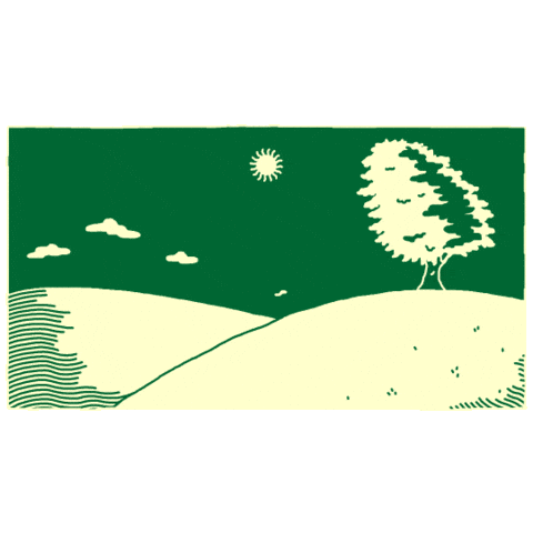 Animation Summer Sticker by Jared D. Weiss