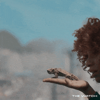 Bbc America Goodbye GIF by The Watch