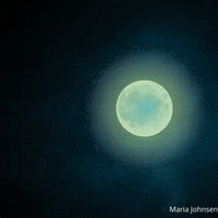 Full Moon GIF by Maria Johnsen