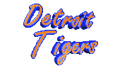 Detroit Tigers Baseball Sticker by GIPHY Text