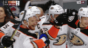 Ice Hockey Sport GIF by NHL