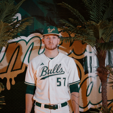 South Florida Baseball GIF by USF Athletics