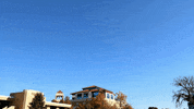 Ulm Warhawks GIF by University of Louisiana Monroe